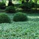 les-jardins-de-maizicourt-a-secret-garden-set-right-in-the-heart-of-the-picardie