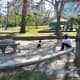 Cute playground areas