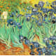 Vincent Van Gogh, Irises