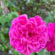 So pretty!