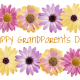 Free Happy Grandparents Day card and clip art with eight pink, purple and yellow daisies