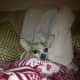 Will he give up her blanket?