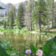 medicine-bow-wyoming