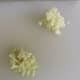 The garlic and ginger is to add flavor to the sauce. Mince them like so and avoid huge chunks