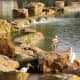 Many types of birds in this location