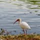 A bird watching paradise