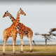 10-beautiful-places-to-visit-in-kenya