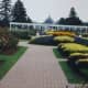 Niagara Parks Greenhouse -- a floral fantasy.
