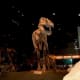 Dinosaur replica in the Tyrrell Museum