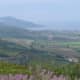 the-kabyle-people
