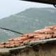 the-kabyle-people