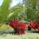 kauai-marriott-beach-resort-at-poipu-hawaii