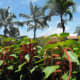 kauai-marriott-beach-resort-at-poipu-hawaii