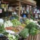 Vegetable Market, Philippines