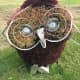 This owl is wearing boots.