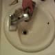Slowly pour the whole bottle of Drano down the drain, then wait for 30 minutes