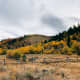 chasing-autumn-colors-in-utah