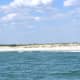 Huntington Beach State Park, as viewed from our dolphin cruise.