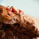 This is what the cake looked like after a couple of days in the fridge.