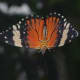 Take a look at the underside.