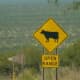 Orange rhombus signs usually mean &quot;caution&quot;. This one means, there are probably cows in the road!