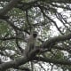 is-it-possible-for-this-city-girl-to-survive-the-wild-african-bush