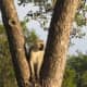 is-it-possible-for-this-city-girl-to-survive-the-wild-african-bush