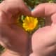 how-to-make-a-heart-with-your-hands