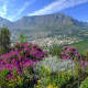 Table Mountain, Cape Town, South Africa