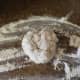 When your bread machine is finished, place dough on a floured surface.
