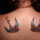 tattoo-ideas-sparrows-and-swallows