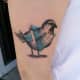 Color-blocked sparrow tattoo.
