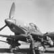 German Ju 87 equipped with the anti-tank cannon similar to the ones that flew over the battlefield of Kursk.