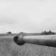 German tiger tanks during Operation Citadel.