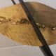 Make little cuts along both sides of one feather. Vary your cuts in length and width.