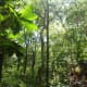 I love that this waterfall is off the beaten path . . . there's just enough jungle to feel wild, but it's not far from civilization.