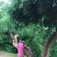 a-visit-to-sun-temple-modhera-an-architectural-marvel-and-historical-monument-in-north-gujarat