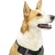KURGO Harness