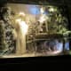 do-you-want-to-run-with-the-night-in-new-york-city-pro-travel-tips-and-more