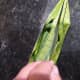 creative-crafts-origami-boat