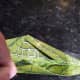 creative-crafts-origami-boat