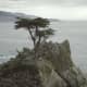 The Infamous Lone Cypress Tree