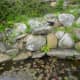 Nestled in the garden footpaths is a little reflecting pond.