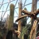 the-best-zoo-in-america
