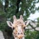 the-best-zoo-in-america