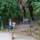 Dinosaurs Alive