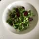 Chopped beetroot and peashoots are plated