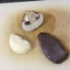 Pigeon breast, mushroom and onion