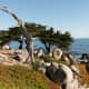 Views from 17-Mile Drive, a scenic road through Pacific Grove and Pebble Beach on the Monterey Peninsula in California