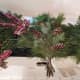 Adding Pinecones